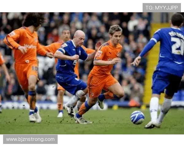 独家解析WE耐力对比背后的秘密与启示